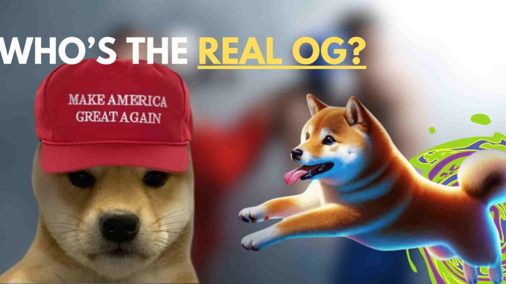  DogWifMAGA and Dogeverse