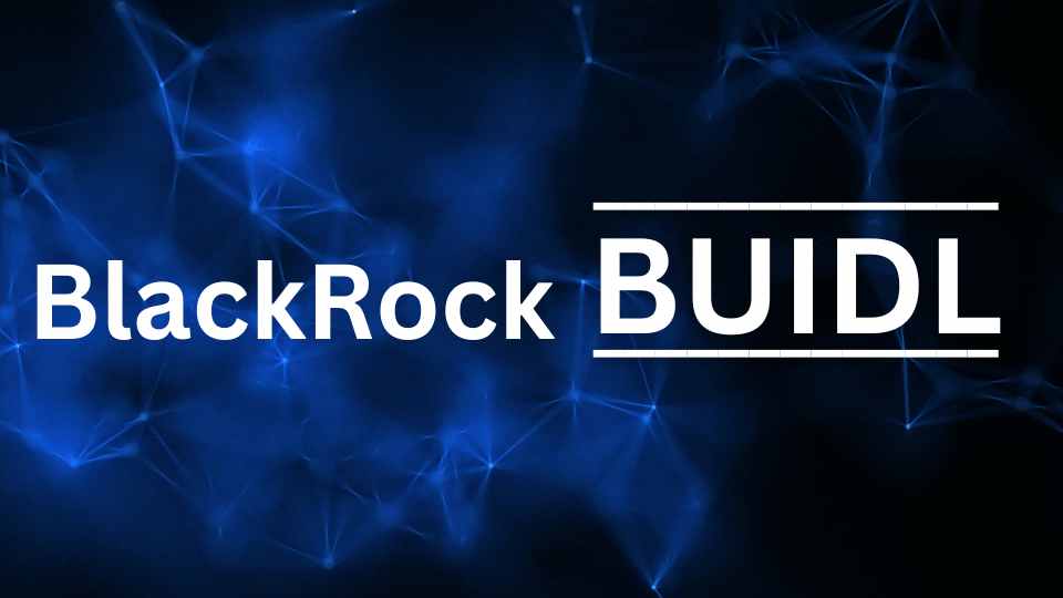 BlackRock BUIDL Becomes The Largest Tokenized Treasury