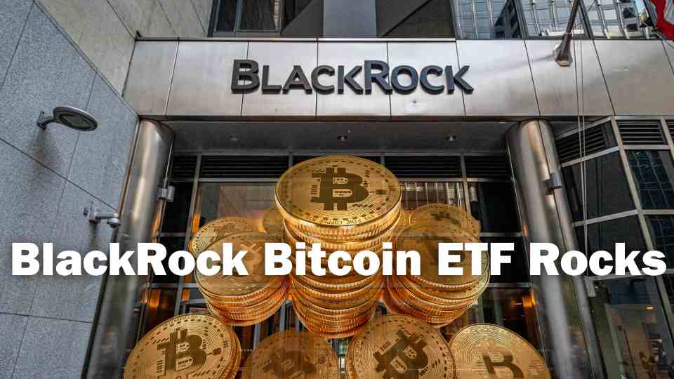 Monolith Owns More Than $24Mn In Blackrock Bitcoin ETF