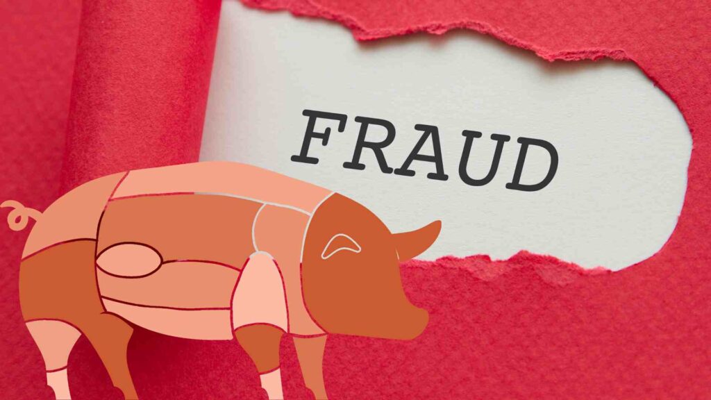 Pig Butchering Crypto Scam - Meaning, Tips & More