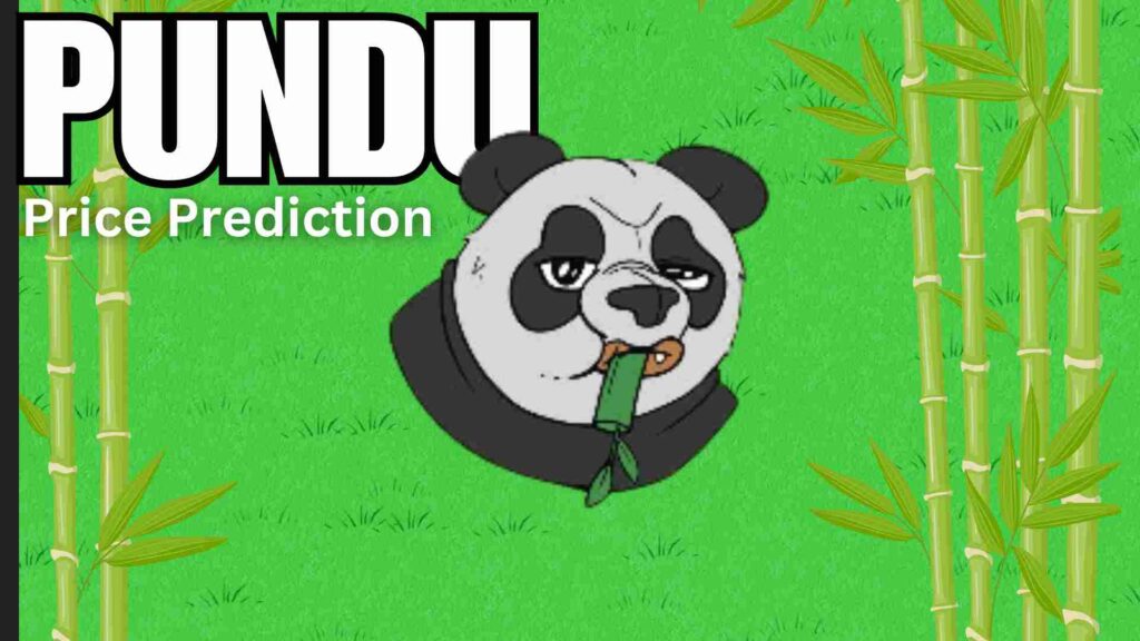 Pundu Coin Price Prediction & Future Analysis