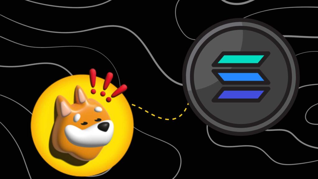 How to Buy Solana Meme Coins | Everything You Need to Know