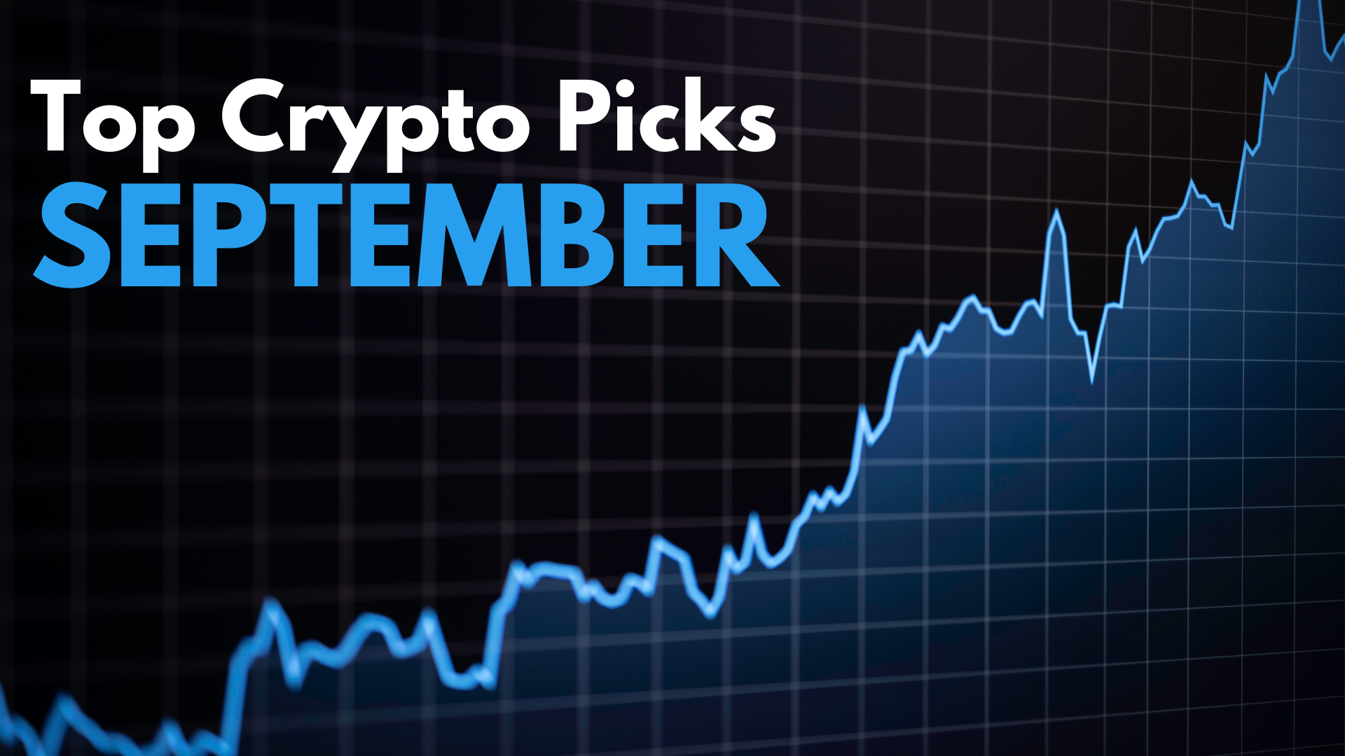 4 Top Meme Coins To Buy In September 2024